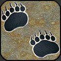 Mosaic bear front feet tracks.